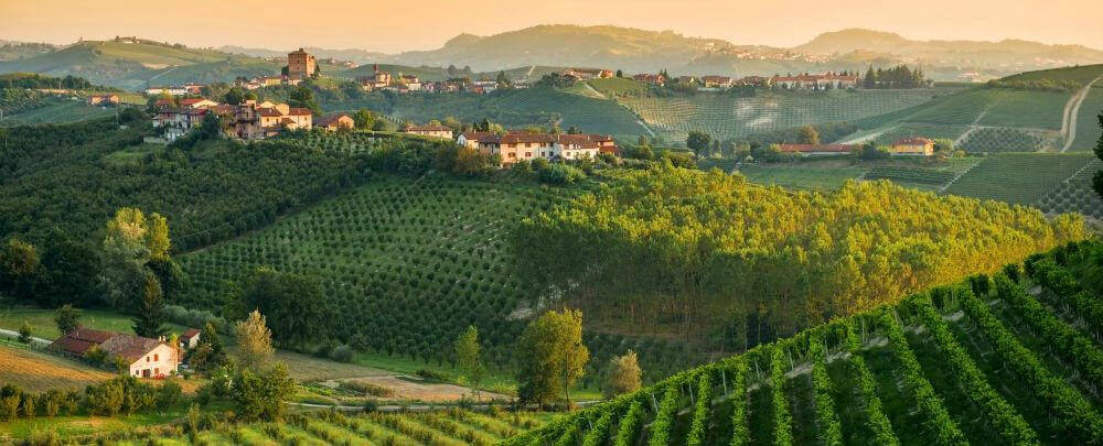 Alba et Langhe - terre de la noisette et de la truffe